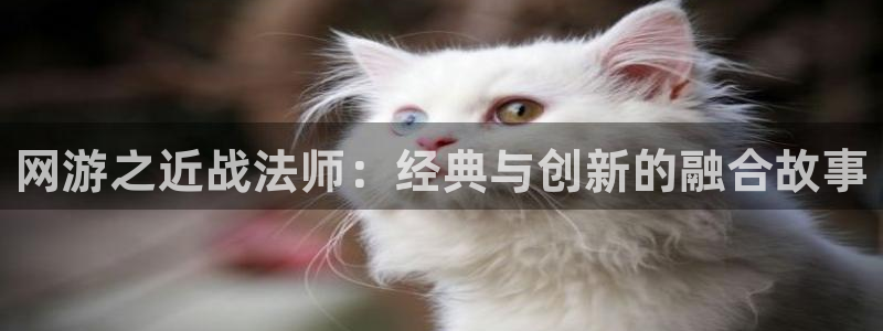 51漫画哔咔漫画：网游之近战法师：经典与创新的融合故事