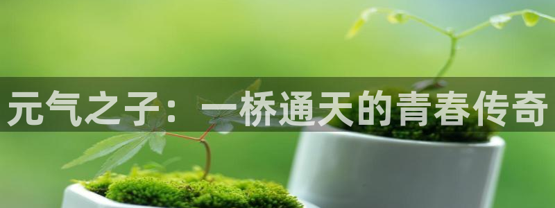 51漫画区：元气之子：一桥通天的青春传奇